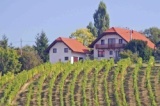 Managed €159,000 Hilltop winehouse and vineyard. Click here for more details. Managed €159,000 Hilltop winehouse and vineyard. Click here for more details.